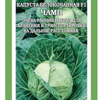 Капуста белокочанная Чамп F1