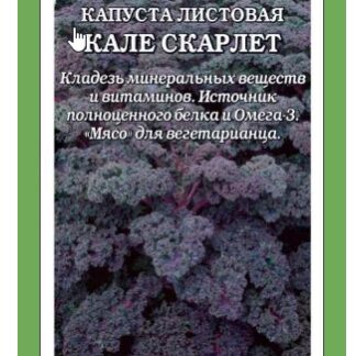 Капуста Кале Скарлет листовая