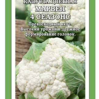 Капуста цветная Марвел 4 сеазонс