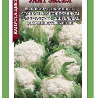 Капуста цветная Уайт Эксел F1