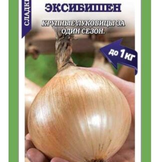 Лук Эксибишен