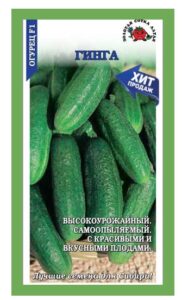 Огурец Гинга F1