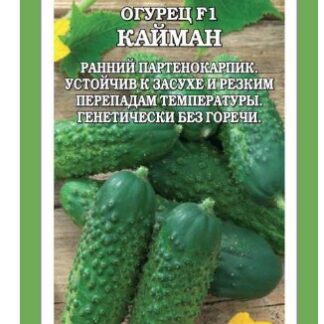 Огурец Кайман F1