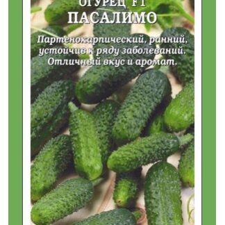 Огурец Пасалимо F1