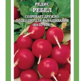 Редис Ребел