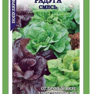 Салат Радуга смесь