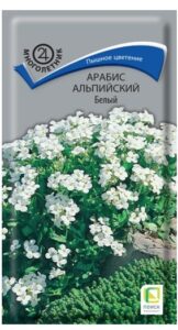 Арабис альпийский Белый