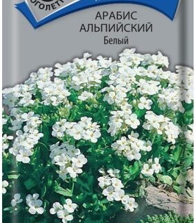 Арабис альпийский Белый