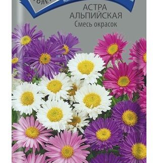 Астра альпийская Смесь окрасок