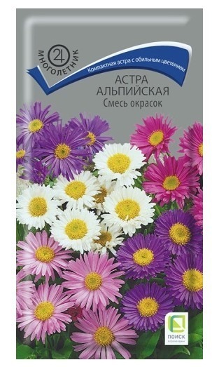 Астра альпийская Смесь окрасок