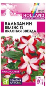 БАЛЬЗАМИН БЕЛЕНС F1 КРАСНАЯ ЗВЕЗДА