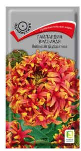 Гайлардия красивая Лоллипап двухцветная
