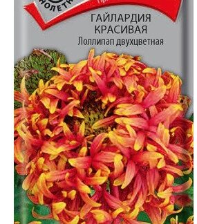 Гайлардия красивая Лоллипап двухцветная