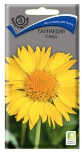 Гайлардия Янтарь