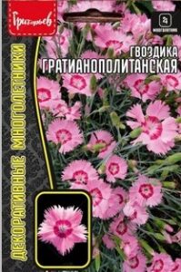 Гвоздика Гратианополитанская