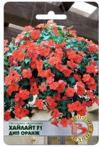 Импатиенс ампельный Хайлайт F1 Дип Оранж
