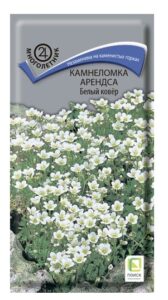 Камнеломка Арендса Белый ковер