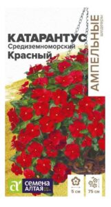 КАТАРАНТУС СРЕДИЗЕМНОМОРСКИЙ КРАСНЫЙ