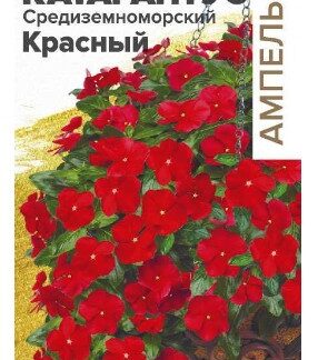 КАТАРАНТУС СРЕДИЗЕМНОМОРСКИЙ КРАСНЫЙ