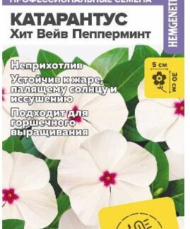 КАТАРАНТУС ХИТ ВЕЙВ ПЕППЕРМИНТ