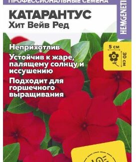КАТАРАНТУС ХИТ ВЕЙВ РЕД