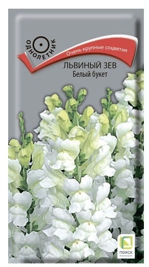 Львиный зев Белый букет