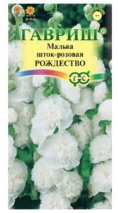 Мальва Рождество