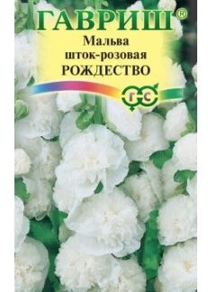 Мальва Рождество