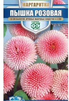 Маргаритка Пышка розовая