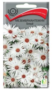 Мезембриантемум Белый