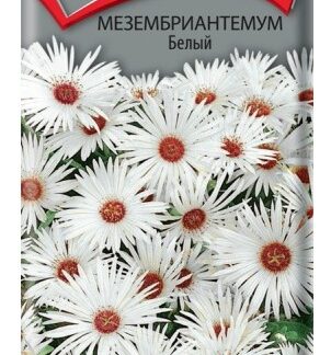 Мезембриантемум Белый