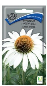 Рудбекия пурпурная Белая лебедь