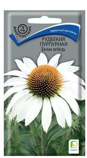 Рудбекия пурпурная Белая лебедь
