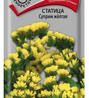 Статица Суприм желтая