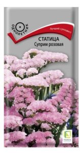 Статица Суприм розовая