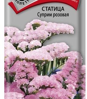 Статица Суприм розовая