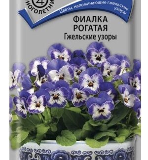 Фиалка рогатая Гжельские узоры