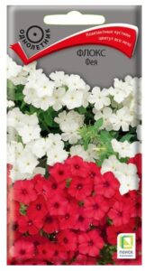 Флокс Фея