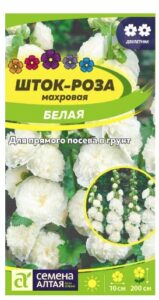 ШТОК-РОЗА БЕЛАЯ