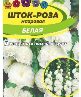 ШТОК-РОЗА БЕЛАЯ