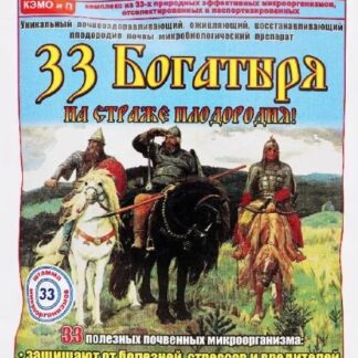 Эко 33 Богатыря почвооздоравливающий микробиол. препарат 1л