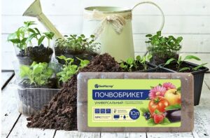 Грунт БРИКЕТ Универсальный 10л