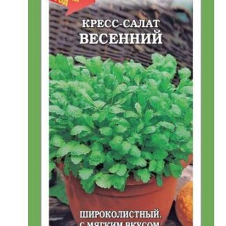 Кресс-салат Весенний