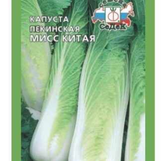 Капуста пекинская Мисс Китая F1