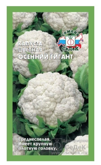 Капуста цветная Осенний Гигант