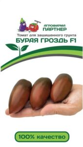 Томат БУРАЯ ГРОЗДЬ F1