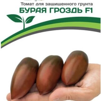 Томат БУРАЯ ГРОЗДЬ F1
