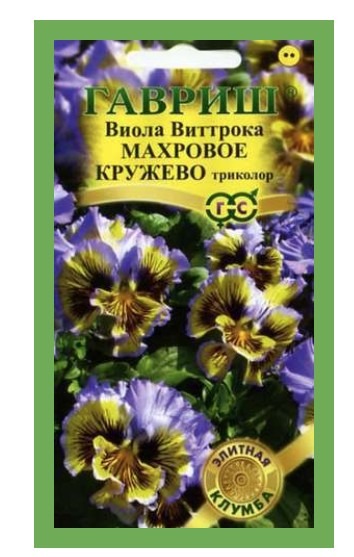 Виола Махровое кружево F1 триколор