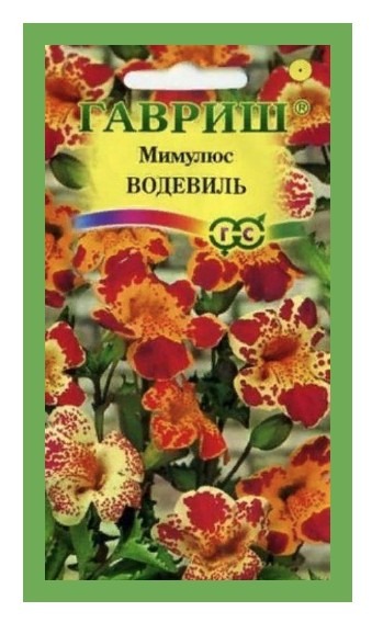 Мимулюс Водевиль