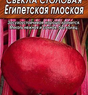 Свекла столовая Египетская плоская